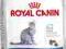 ROYAL CANIN INDOOR 400+400g GRATIS = PROMOCJA