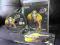 LE TOUR DE FRANCE * PS3 *