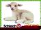 Schleich Leżąca owieczka 13284 farma