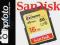 Karta 16GB SanDisk EXTREME SDHC c10 45MB/s Lublin