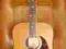 Epiphone Masterbilt DR-500R