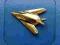 Pins Northrop F-117