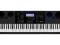 Casio WK-6600 Keyboard