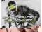 SPLINTER CELL BLACKLIST PL NOWA PS3 SZCZECIN