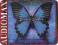 Secret Garden[2CD]/Mike Oldfield, Sarah Brightman
