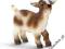 SCHLEICH Dziecko kozy karłowatej DHL