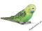 SCHLEICH PAPUGA ZIELONA sold out DHL
