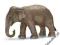 SCHLEICH Słoń Indyjski, samica new 2012 DHL