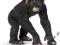 SCHLEICH Szympans samiec new 2013 DHL