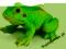 SCHLEICH ŻABA DHL