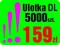 TANIA Ulotka DL 5000 szt. kolor ulotki w 3 dni