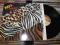 Kiss  Animalize | LP | WINYLOVE