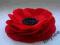 Broszka mak, czerwony mak z filcu