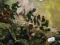 STRATEGY & TACTICS # 280 USA STRATEGY & TACTICS # 280 USA