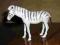 DUŻE DZIKIE ZWIERZĘTA PROMOCJA zebra