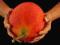 Momordica - GAC FRUIT - passiflora to przeszłość!