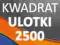 Ulotki kwadrat 2500 szt. -DARMOWA DOSTAWA ulotka