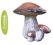 ZoneHome Figurka GRZYB -ozdobna do ogrodu 25974