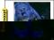 dvdmaxpl JOHNNY WINTER: THE BEST OF JOHNNY WINTER