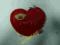 serce Ilove you ....  przytulanka