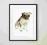 Mops psy obraz plakat A4