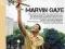 GAYE, MARVIN - ICON COLLECTION /CD/ TANIO!-