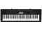 CASIO keyboard CTK 3200 zasilacz i kurier gratis