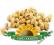 PISTACJE PREMIUM 200G SMAK NATURY PROMOCJE