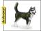 dvdmaxpl SCHLEICH PIES HUSKY 16371 (ZABAWKA)