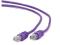 PATCH CORD KAT.5E 0.25M PURPLE GEMBIRD