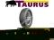 155/80/13 TAURUS-Michelin TOURING 301.NOWE. POZNAŃ