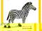 SCHLEICH ZEBRA SAMIEC