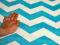 Tkanina MINKY CHEVRON  # F 1704a