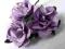 Papierowe kwiaty róże angielskie duże fioletowe