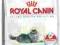 Royal Canin Indoor Long Hair 4kg