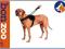 PATENTO PET SZELKI JOCKEY DESIGN ROZ. XXL CZARNE