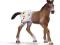 SCHLEICH - ŹREBIĘ RASY APPALOOSA - 13733