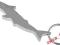 Brelok metalowy otwieracz rekin 73760