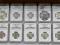 !!! ZESTAW 13. szt MONET GRADING NGC !!! SUPER !!!