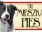 BORDER COLLIE TABLICZKA NA DRZWI - WSZYSTKIE RASY