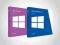 Microsoft Windows 8.1 Professional 32/64 bit TANIO