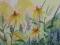 Łąka słoneczna, Kwiaty, Akwarela A4 ORYGINAŁ