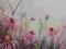 Łąka jeżówek, Kwiaty Akwarela 24x32 ORYGINAŁ