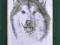 ALASKAN MALAMUTE RYCINA PIES RYSUNEK PSY RASOWE