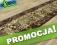 CHODNIK MANGO  80 cm  HEAT-SET CHODNIKI PROMOCJA !