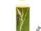 BOTANICS GOLDEN GLOW ROZŚWIELTAJĄCY BALSAM PROMOC