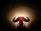 DIABLO 3 lampka nocna oryginalna z USA nowa unikat