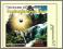Fantazje Feng Shui CD Fantazje Feng Shui CD