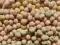 groch żółty ptasi zolty 1kg dla gołębi