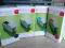 Oce ColorWave300  tusz  oryginał  M, C, Y